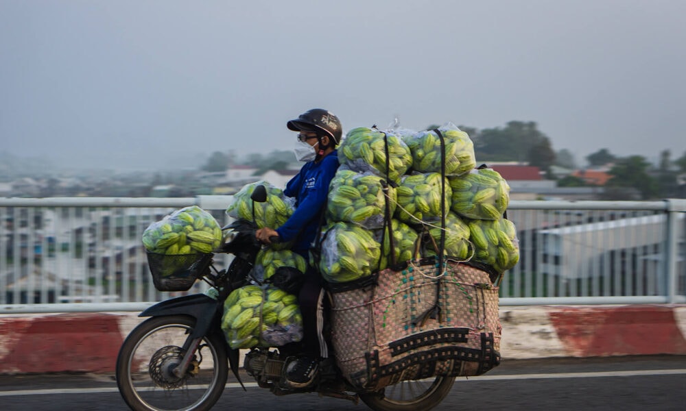 Vietnam Motorcycle Sales Keep Growing Even as Electric Mobility Policy Push Continues